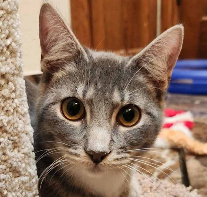 Photo of Bruce
