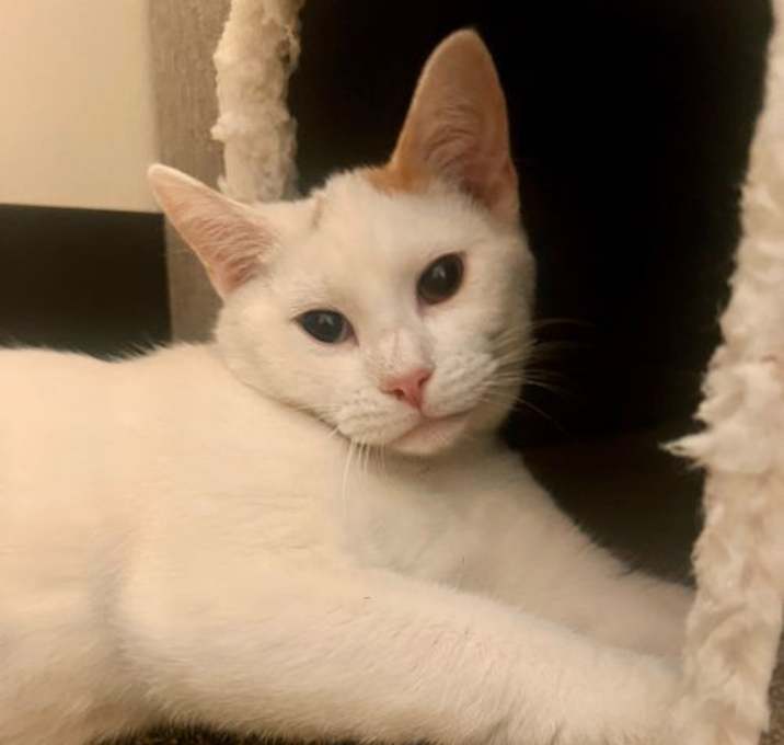 Photo of Gumbo