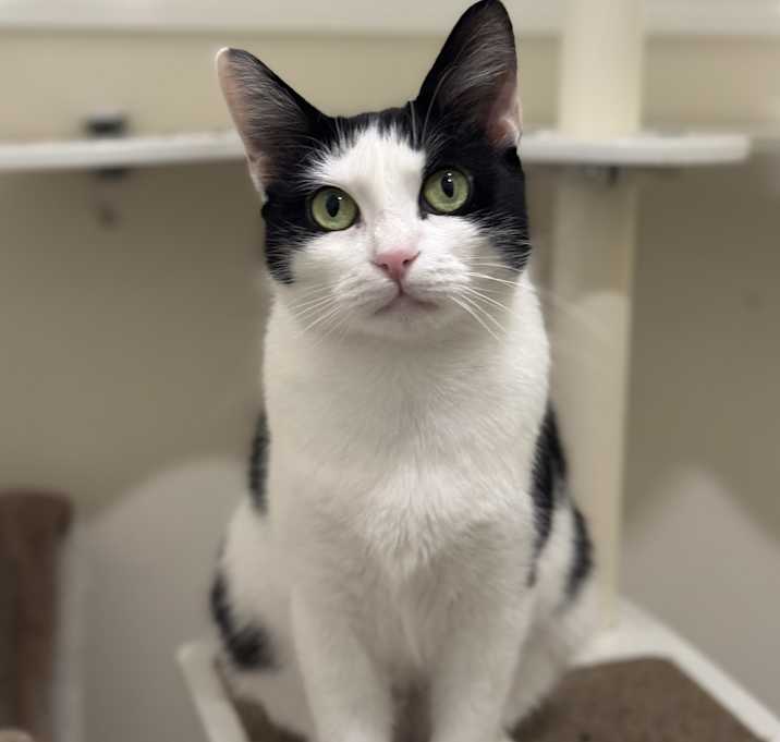 Photo of Dottie