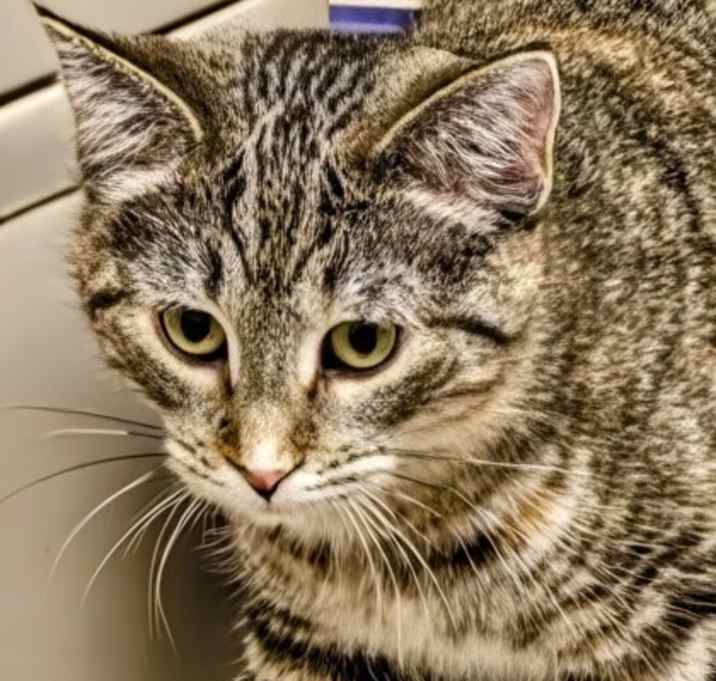 Photo of Polly