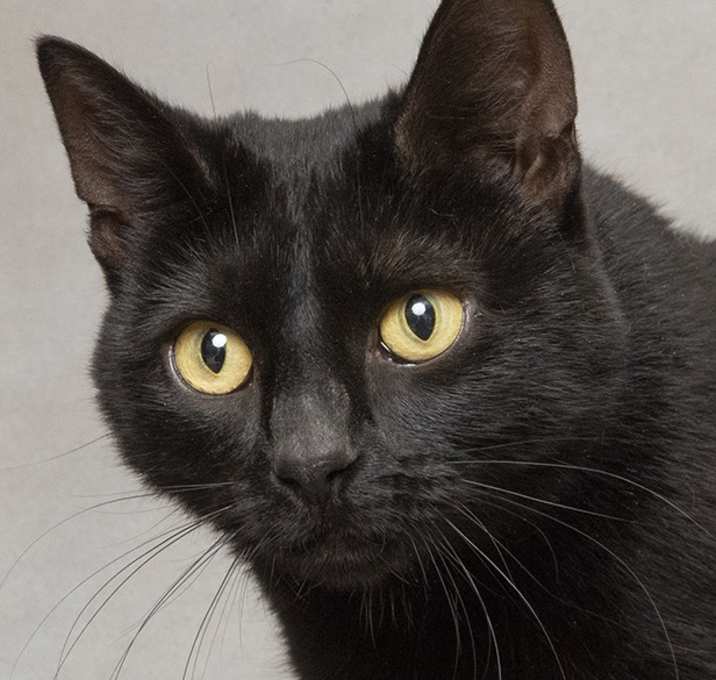 Photo of Polly