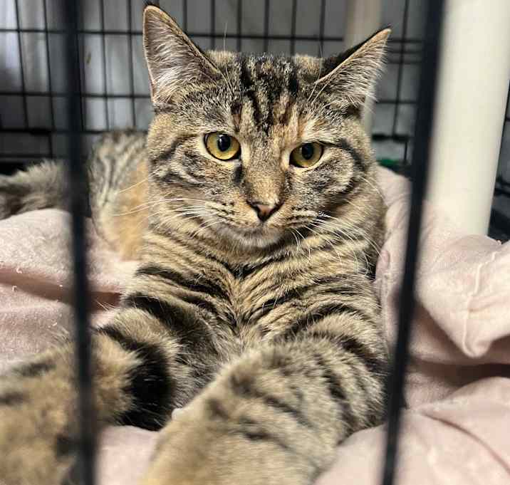 Photo of Maggie