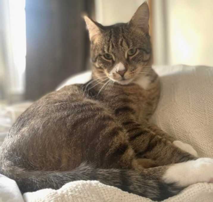 Photo of Nacho