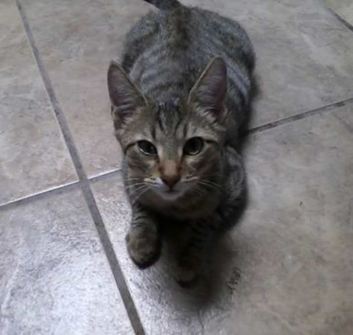 Photo of Aloha