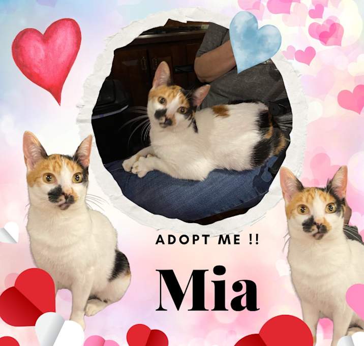 Photo of Mia