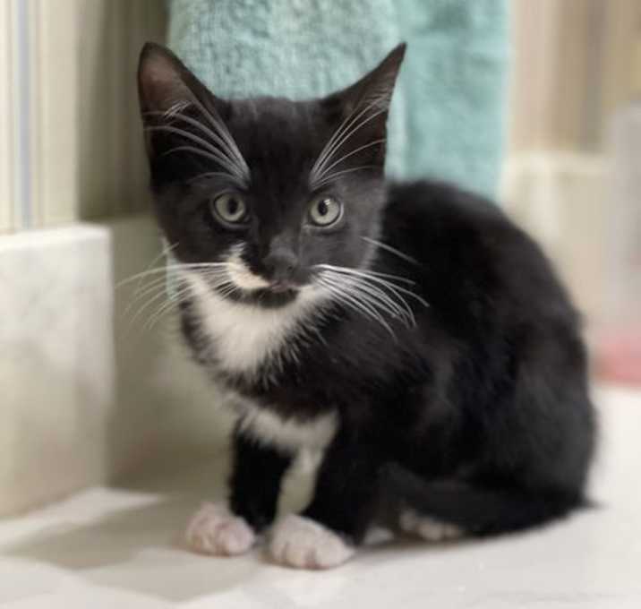 Photo of Roscoe