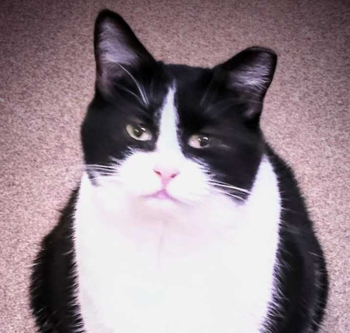 Photo of Mattie