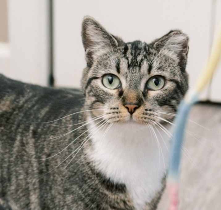 Photo of Poppie