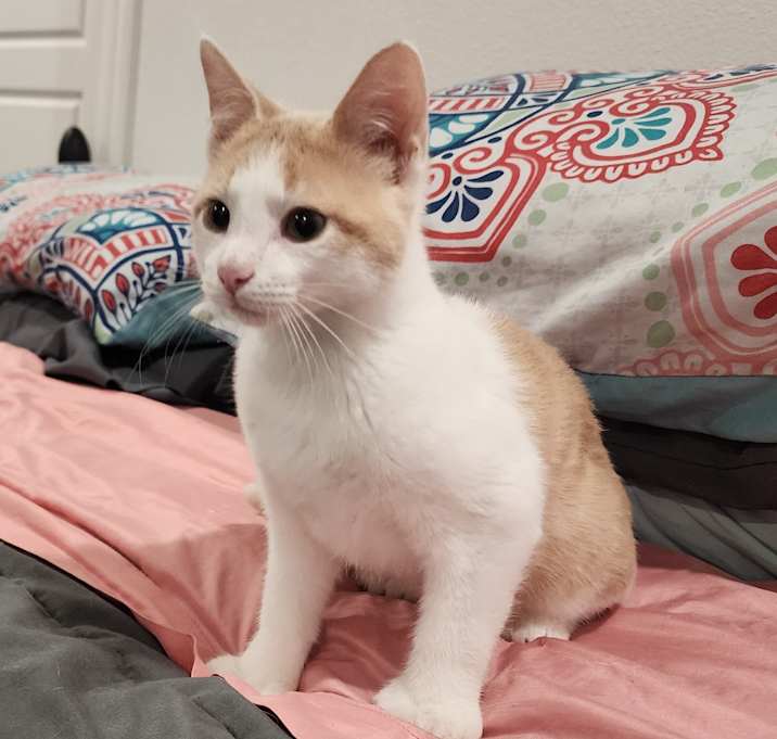 Photo of Jake