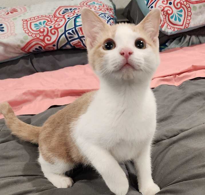 Photo of Princess