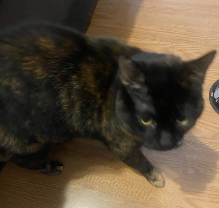 Photo of Lucy