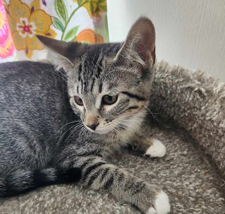 Photo of OLIVIA