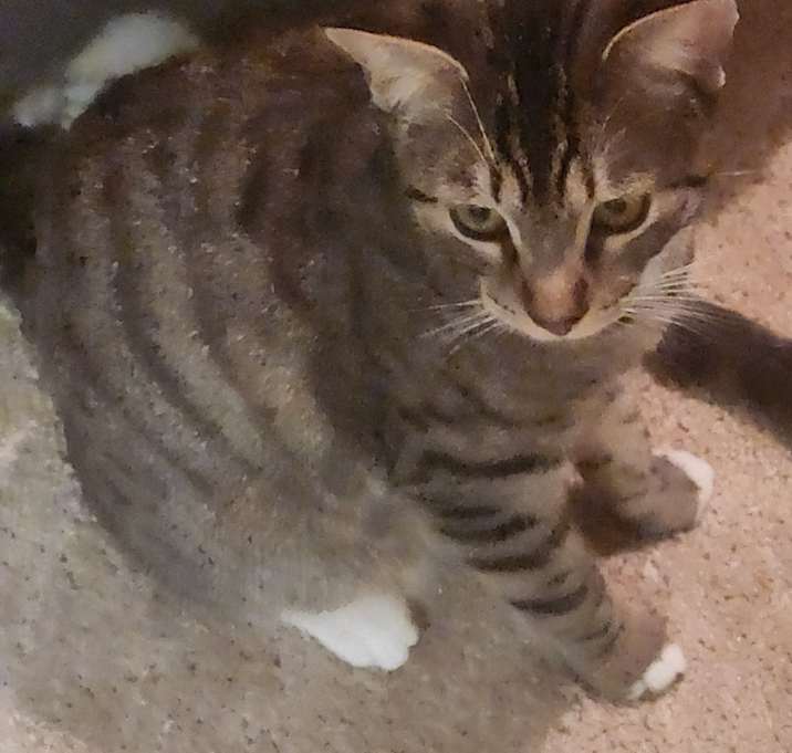 Photo of LILLY