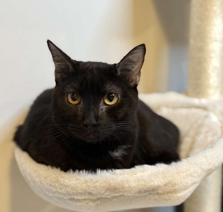 Photo of Timber - MS