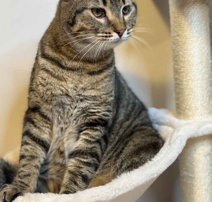 Photo of Tober - MS