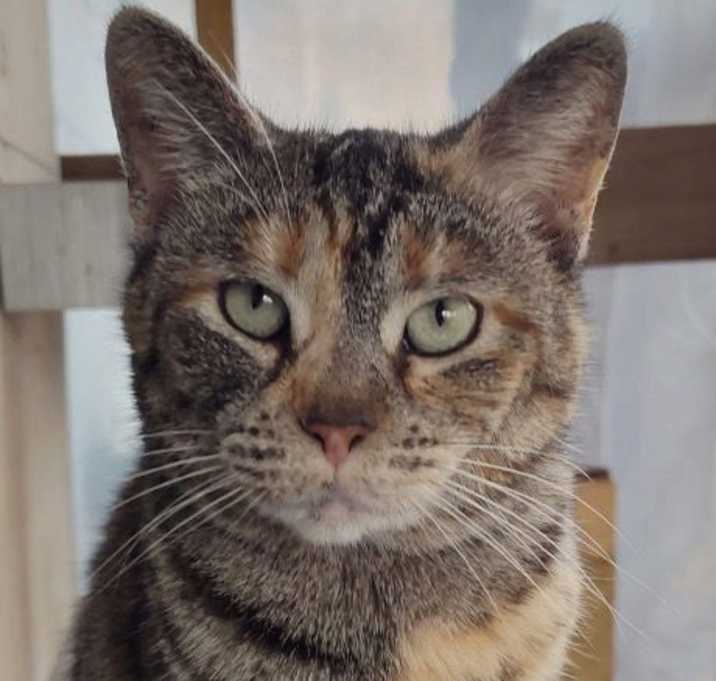 Photo of Sally
