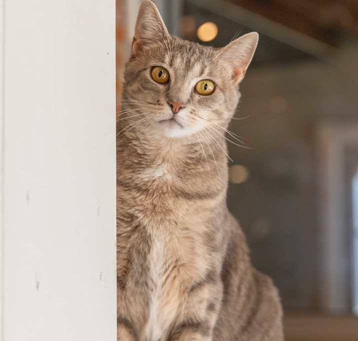 Photo of Gigi