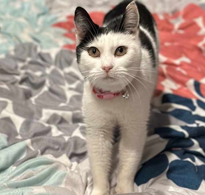 Photo of Minnie