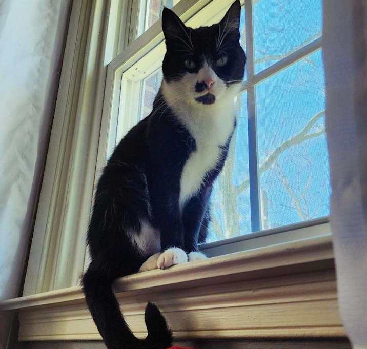 Photo of Celeste