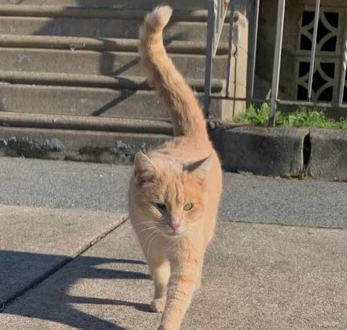 Photo of Belle