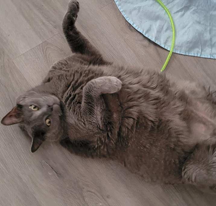 Photo of Biggie
