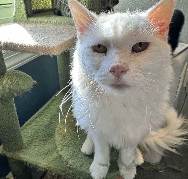 Photo of Pandora