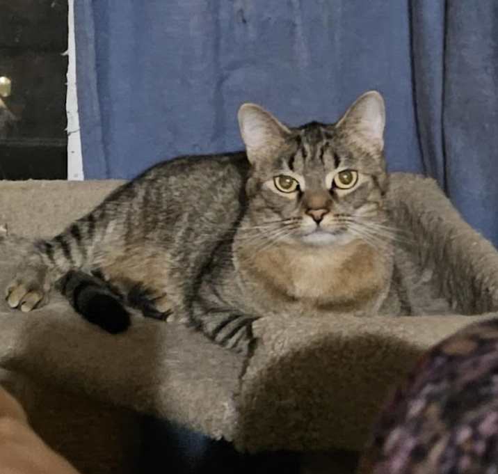 Photo of Daylin