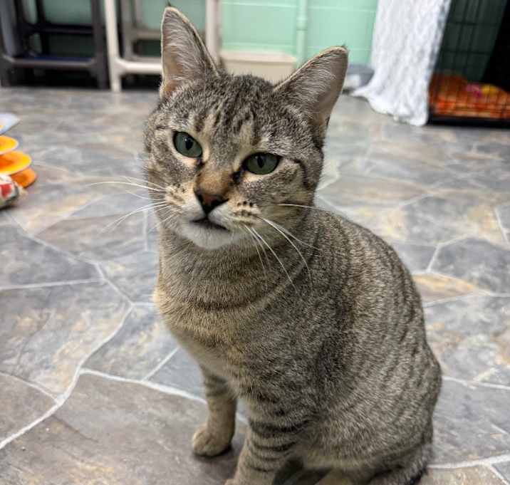 Photo of Hilda