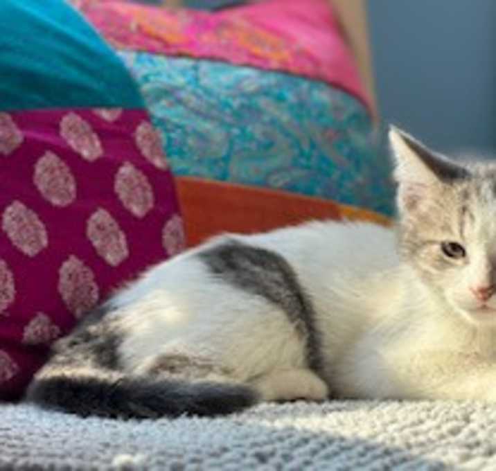 Photo of Tumble