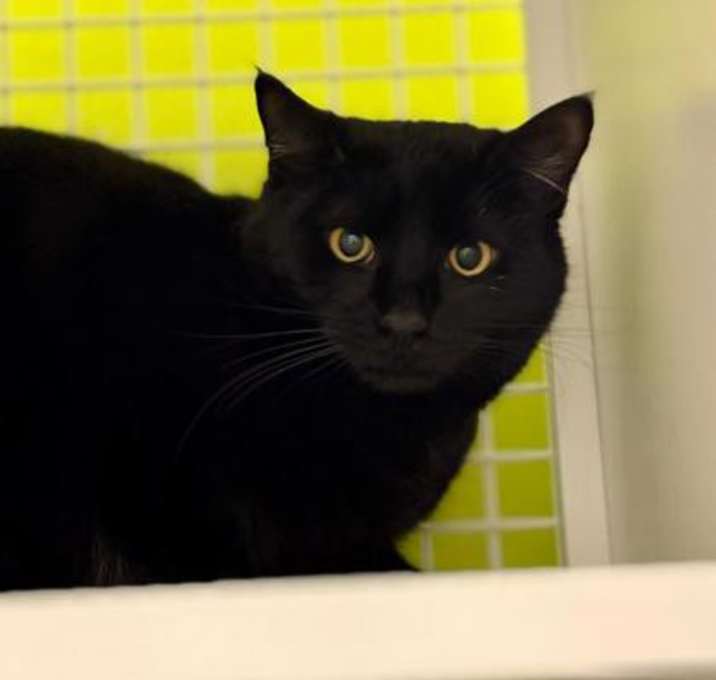 Photo of Ender