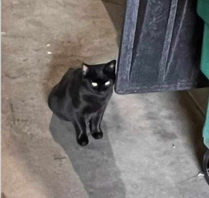 Photo of Farrah