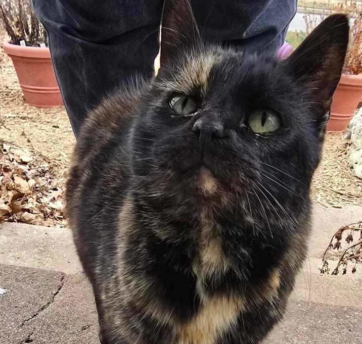Photo of Sable