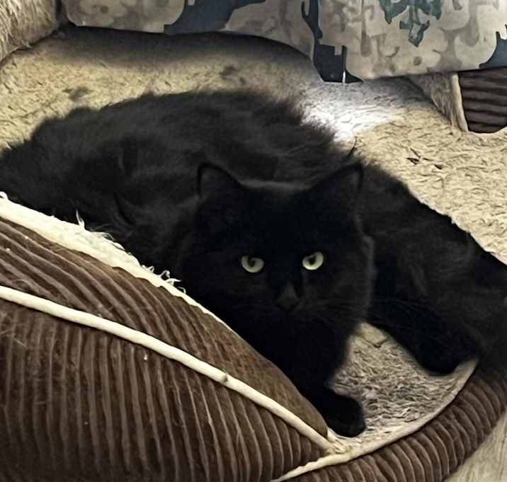 Photo of Luthien