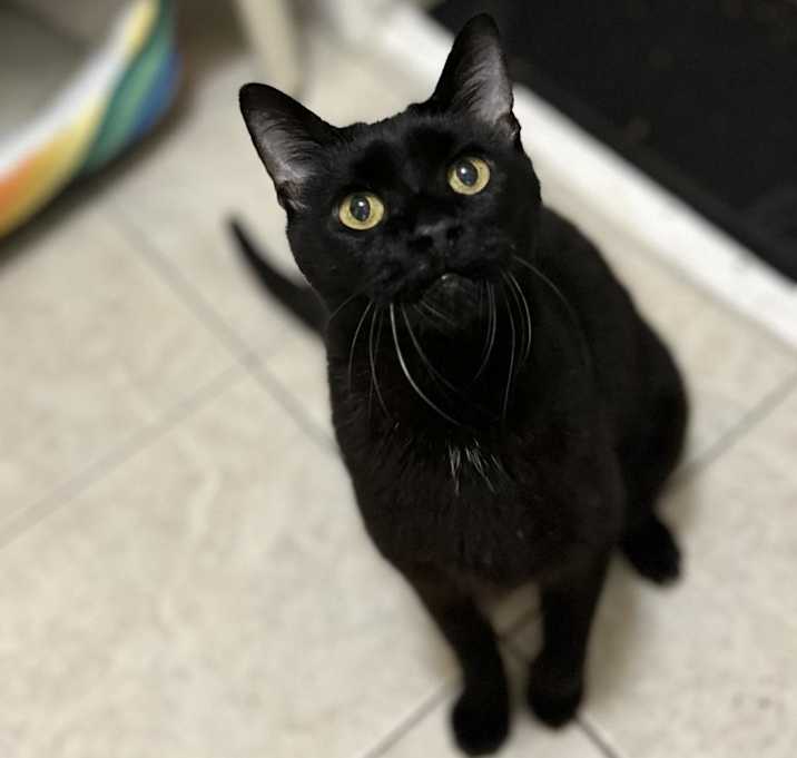 Photo of Preston