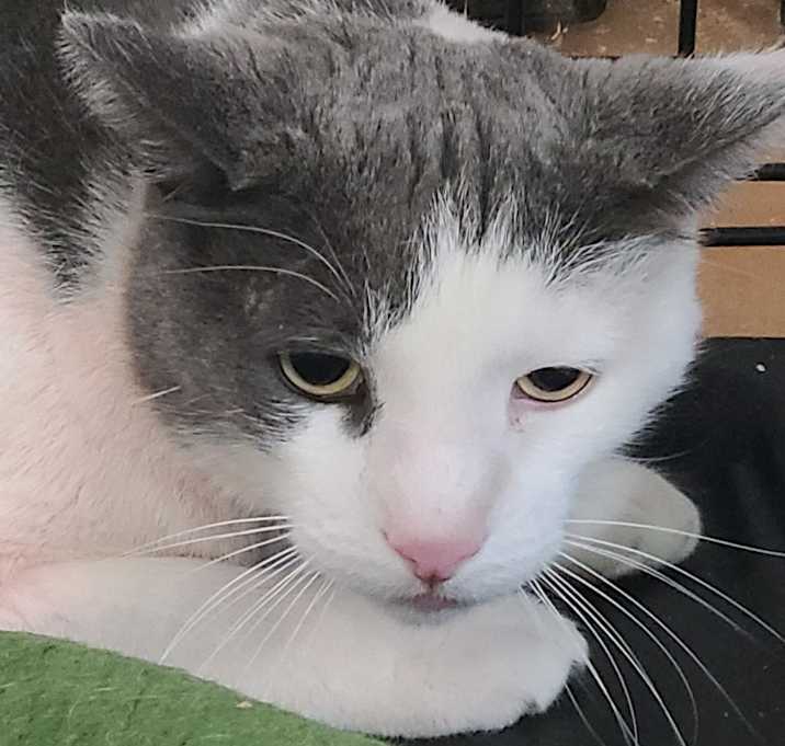 Photo of Happy