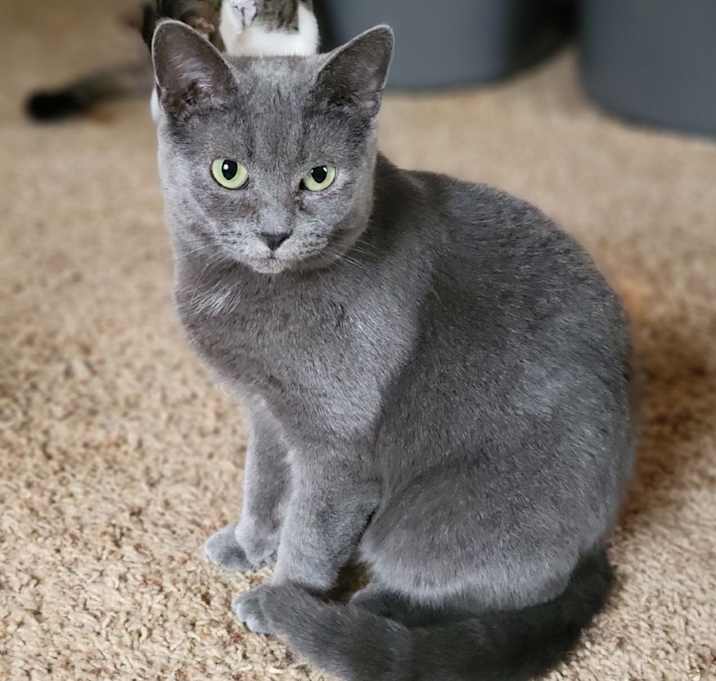 Photo of Missy