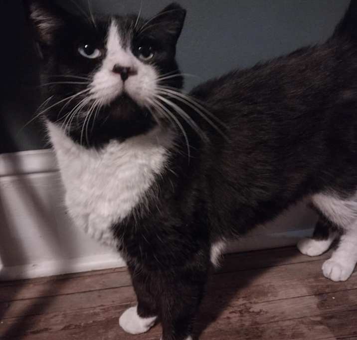 Photo of Maximus