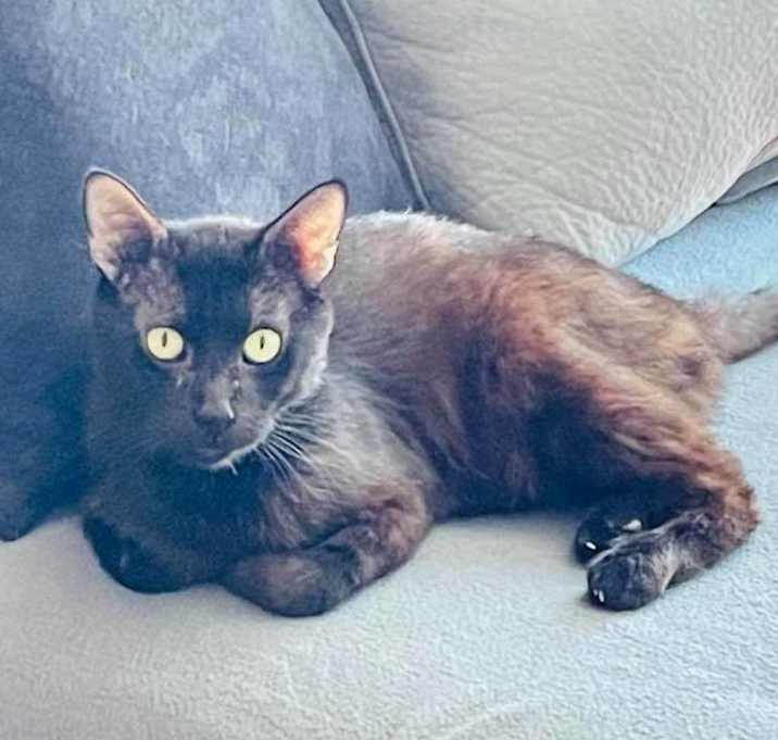 Photo of Ricky