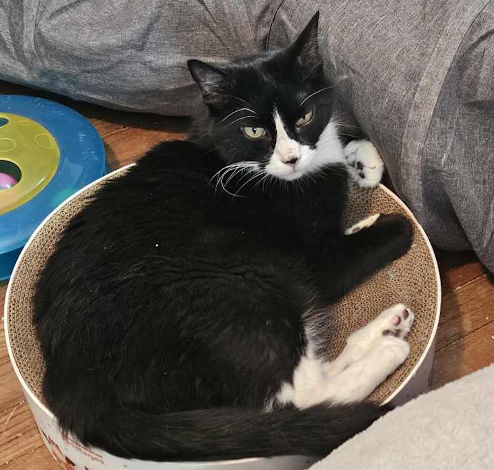 Photo of Philip