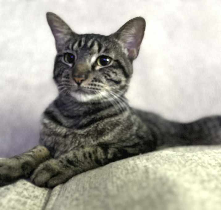 Photo of Jack