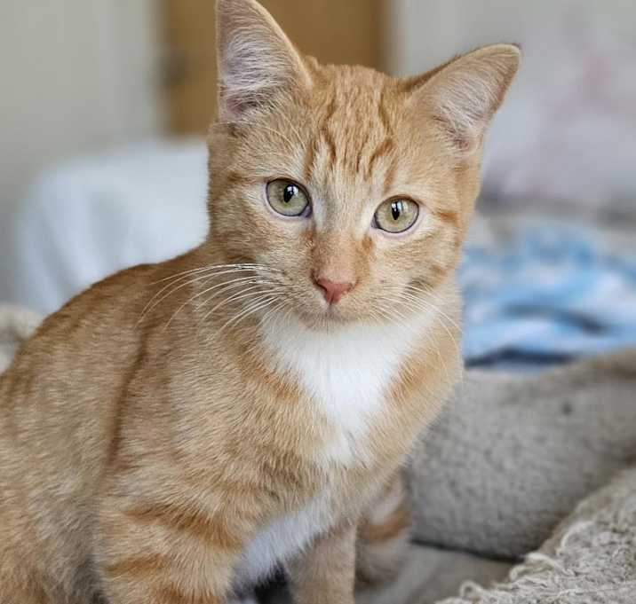 Photo of Ellory