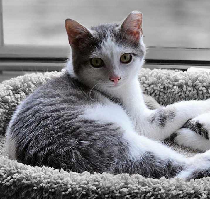Photo of Asher
