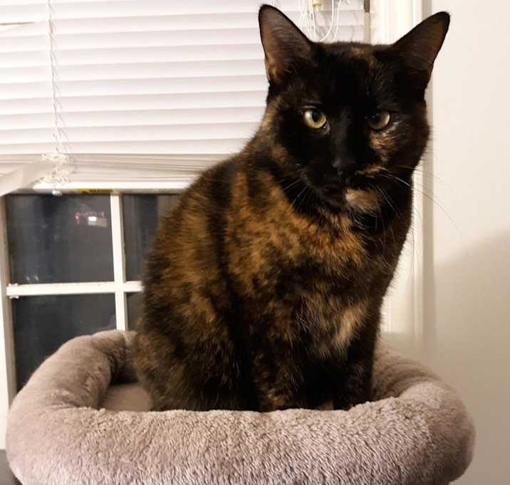 Photo of Tia