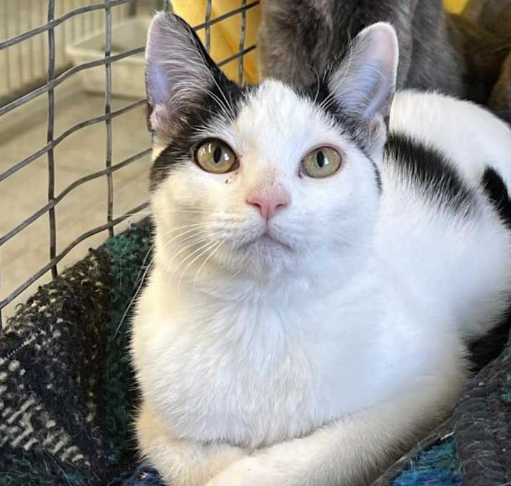 Photo of Pearl
