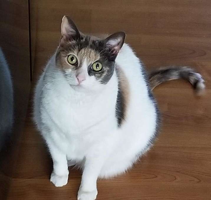 Photo of Leah