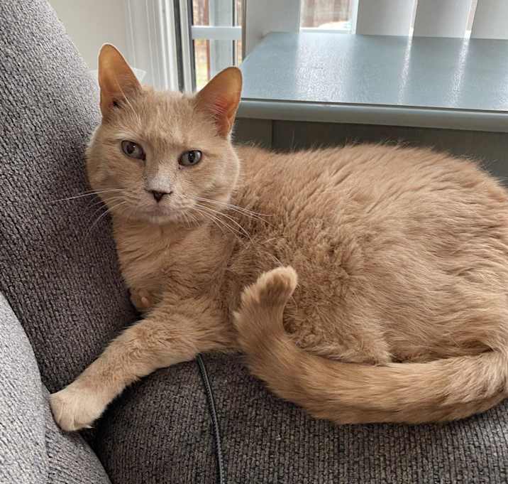 Photo of Lola