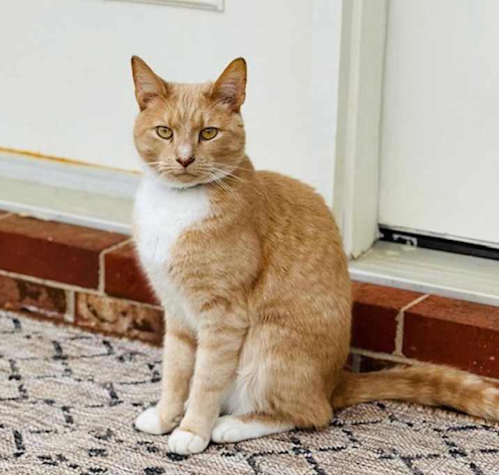 Photo of Ziggy