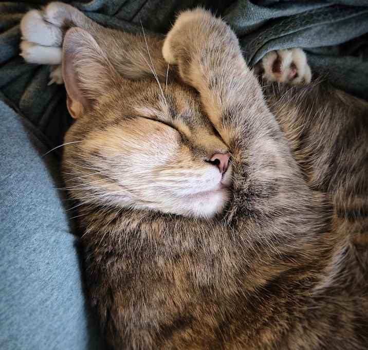 Photo of Navi