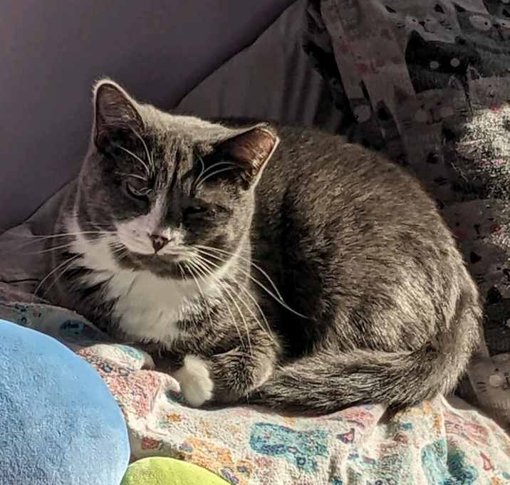 Photo of Fraggle