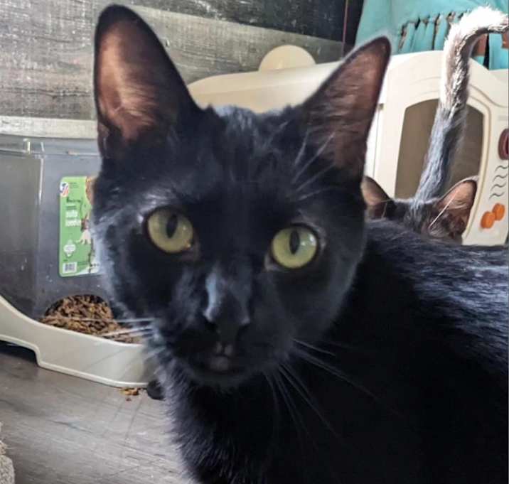 Photo of Esmeralda